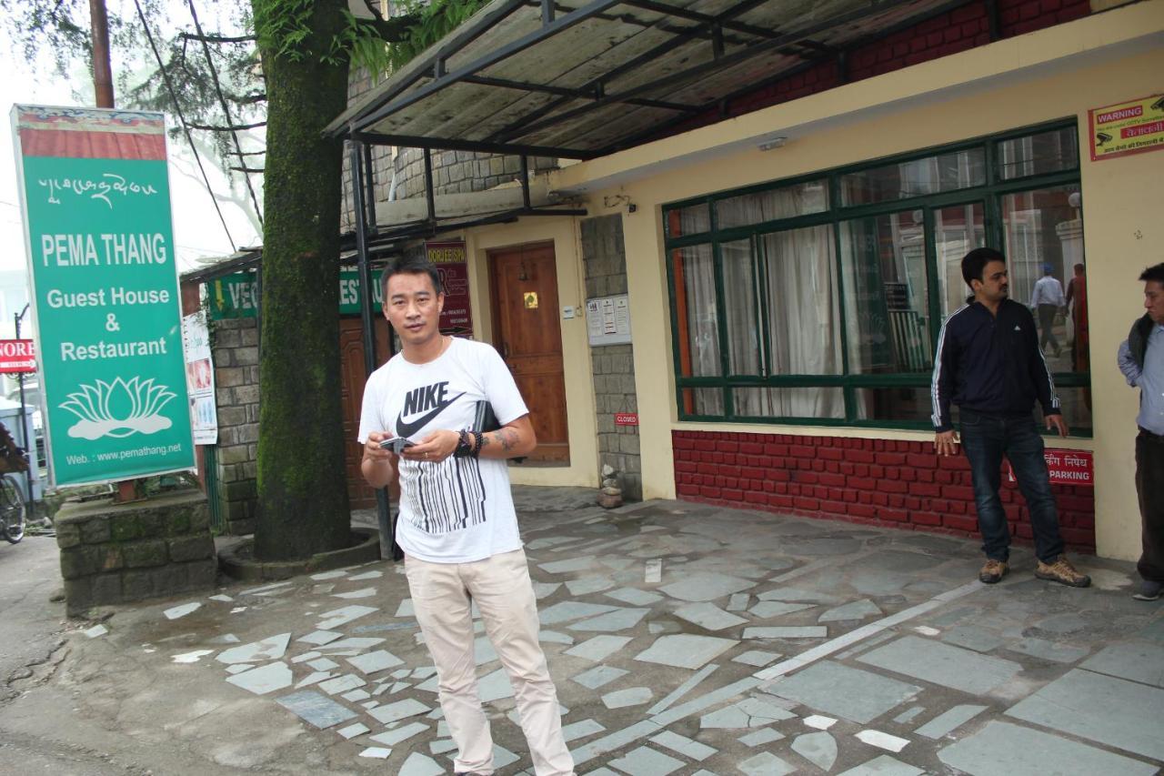 Pema Thang Hotel Kangra Exterior foto