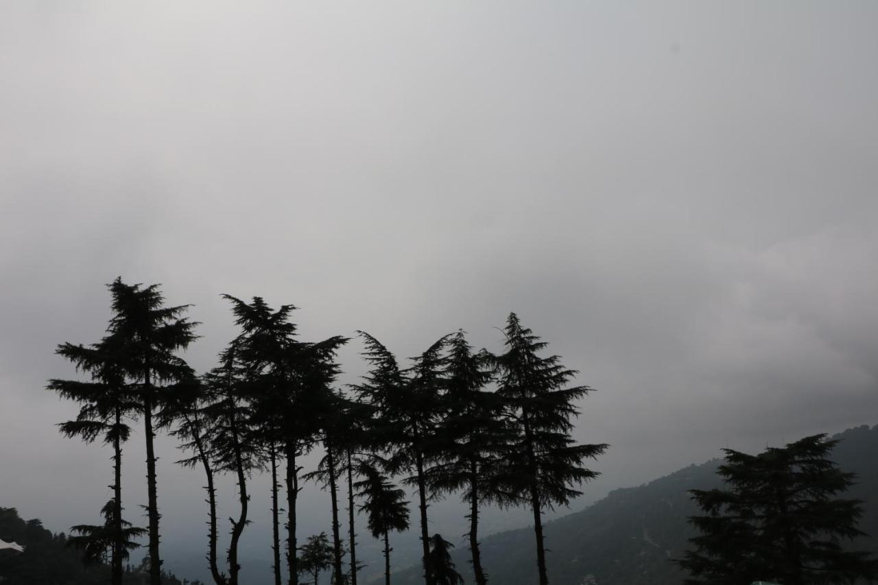 Pema Thang Hotel Kangra Exterior foto